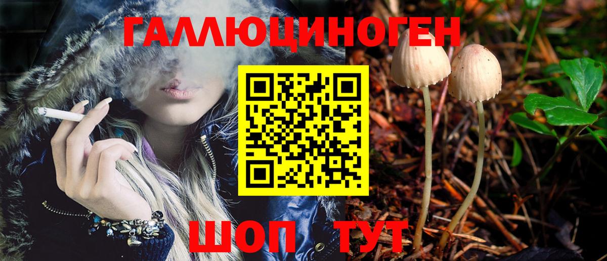 Галлюциногенные грибы MAGIC MUSHROOMS  Вход с VPN  Малгобек 