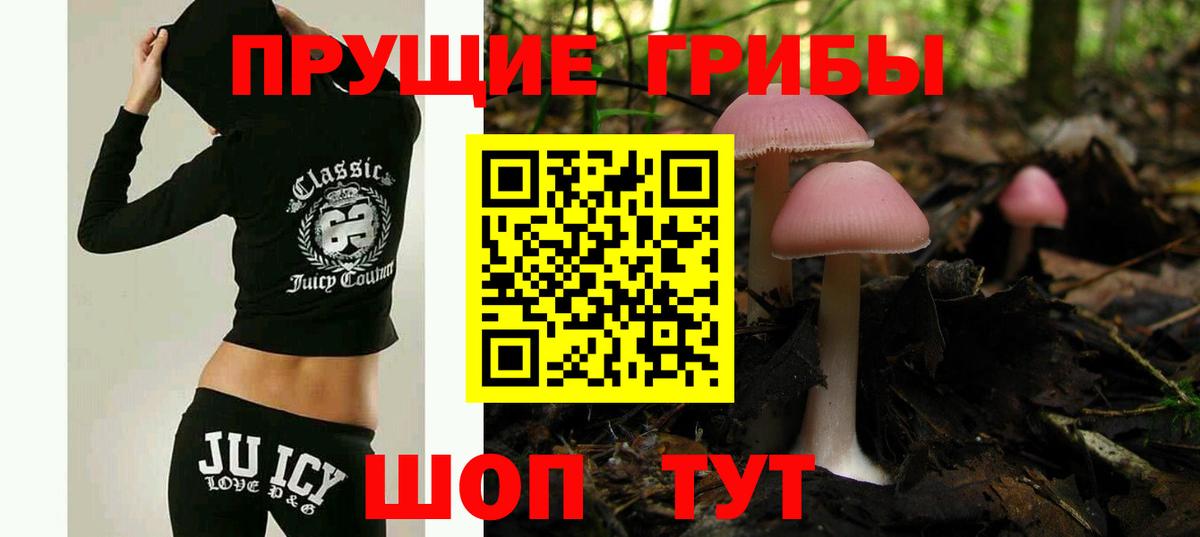 Псилоцибиновые грибы мицелий Малгобек